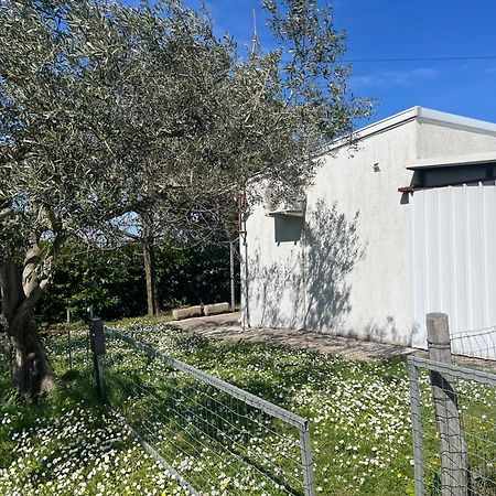 Apartma Korelc Koper Dış mekan fotoğraf
